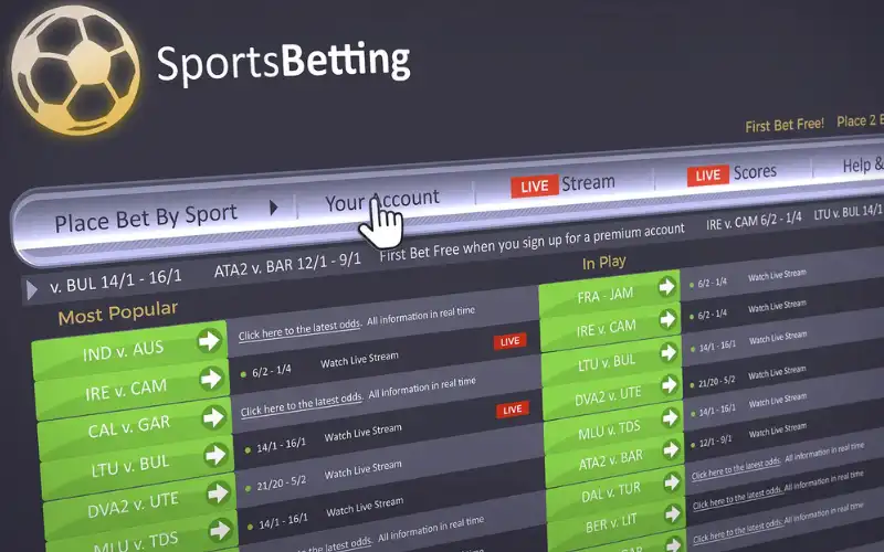Sports Betting Sites